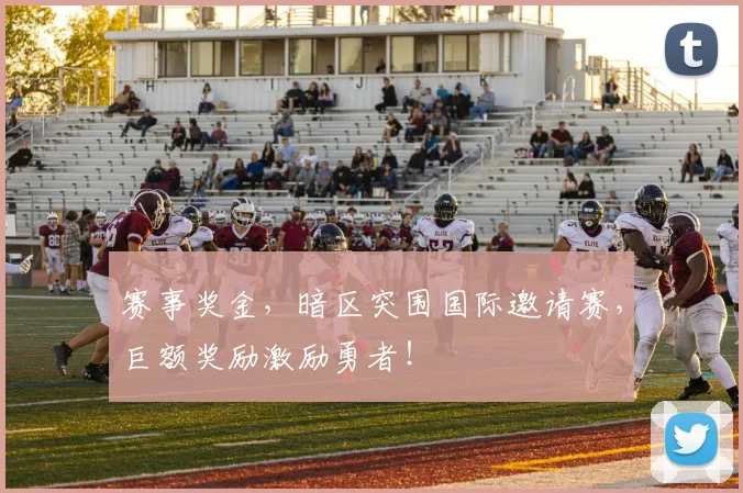 赛事奖金，暗区突围国际邀请赛，巨额奖励激励勇者！