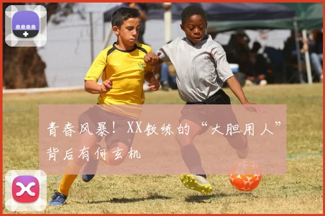 青春风暴！XX教练的“大胆用人”背后有何玄机